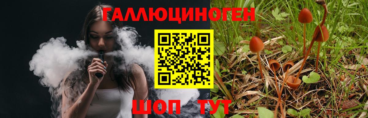 Галлюциногенные грибы ЛСД  Вход с VPN  наркота  Камень-на-Оби 
